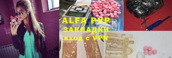 молекула духа Арсеньев