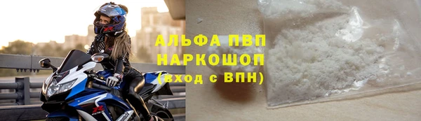 молекула духа Арсеньев