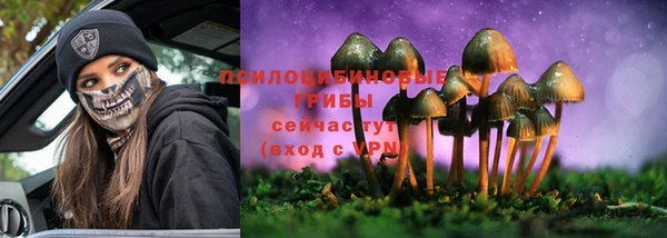 молекула духа Арсеньев