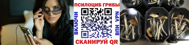 Купить закладки  Артёмовск  Галлюциногенные грибы мухоморы 